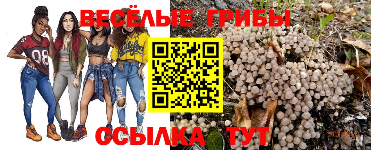 Галлюциногенные грибы Magic Shrooms Рубцовск